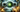  Harnessing NVIDIA RTX for Advanced Gaming: An Inside Look at Ralph Panebianco's Approach