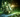  Unleashing 3D Generative AI with NVIDIA Edify: A Game-Changing Tool for Visual Content Providers