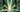  NVIDIA Blackwell Platform: Transforming the Landscape of Scientific Computing