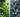  Insects vs Robots: A Study in Efficient Navigation