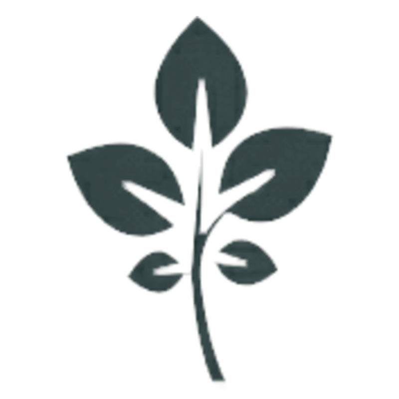 GrapeVine Social - Discover what’s happening around you