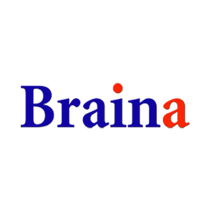 Braina - AI Dictation, LLM, Assistant, Voice Commands & Automation software