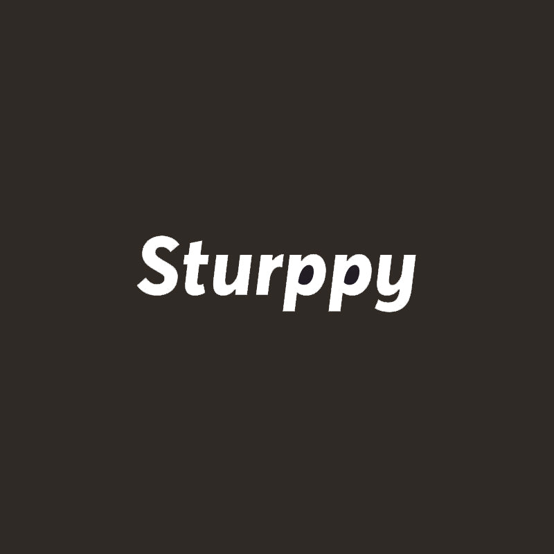 Sturppy - AI-Driven Financial Modeling Tool for Startups
