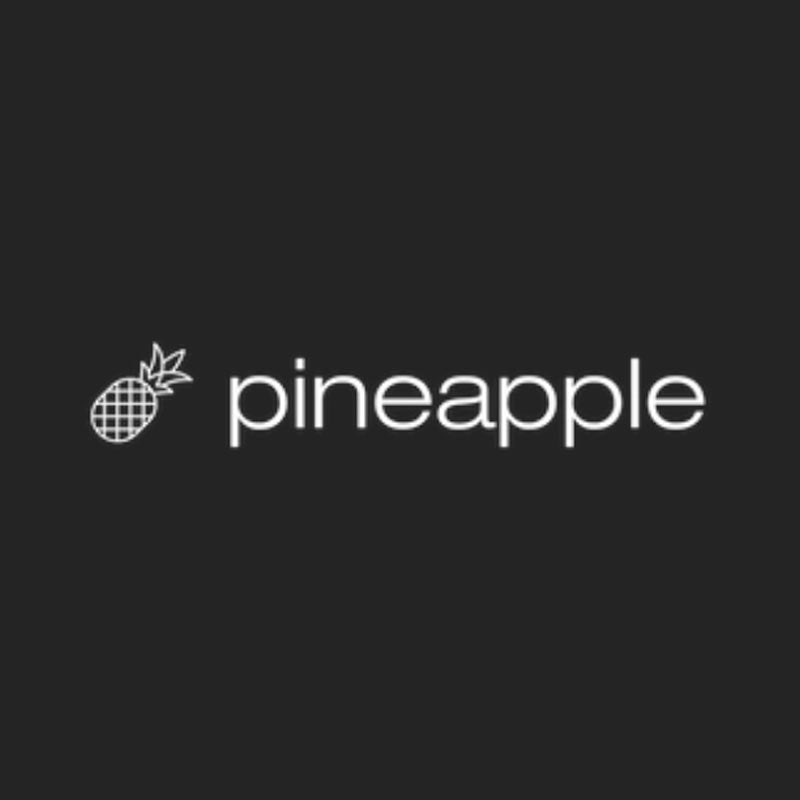 Pineapple Builder - AI Website Builder