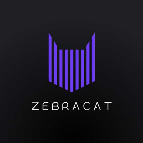 Zebracat - AI Text-To-Video Transformer
